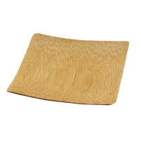 Disposable Platters / Trays