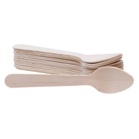 Disposable Utensils