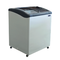 Chest Freezer