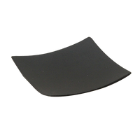 Disposable Platters / Trays